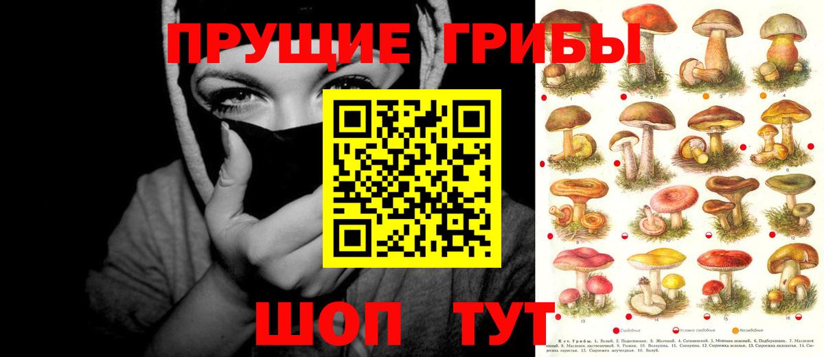 Галлюциногенные грибы прущие грибы Клинцы